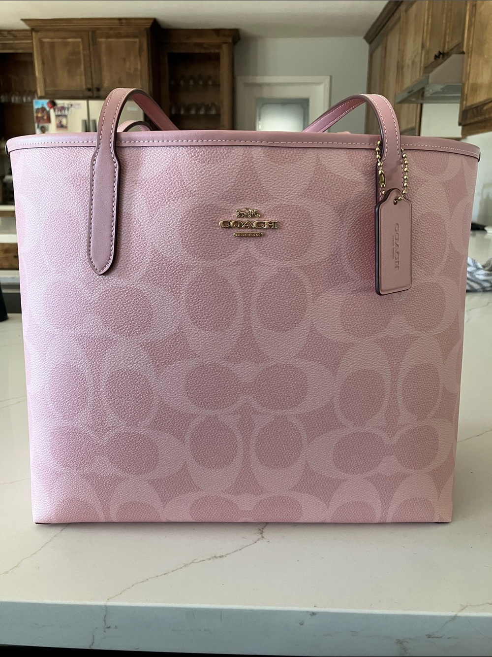 Coach Powder Pink Signature Canvas Tote Large